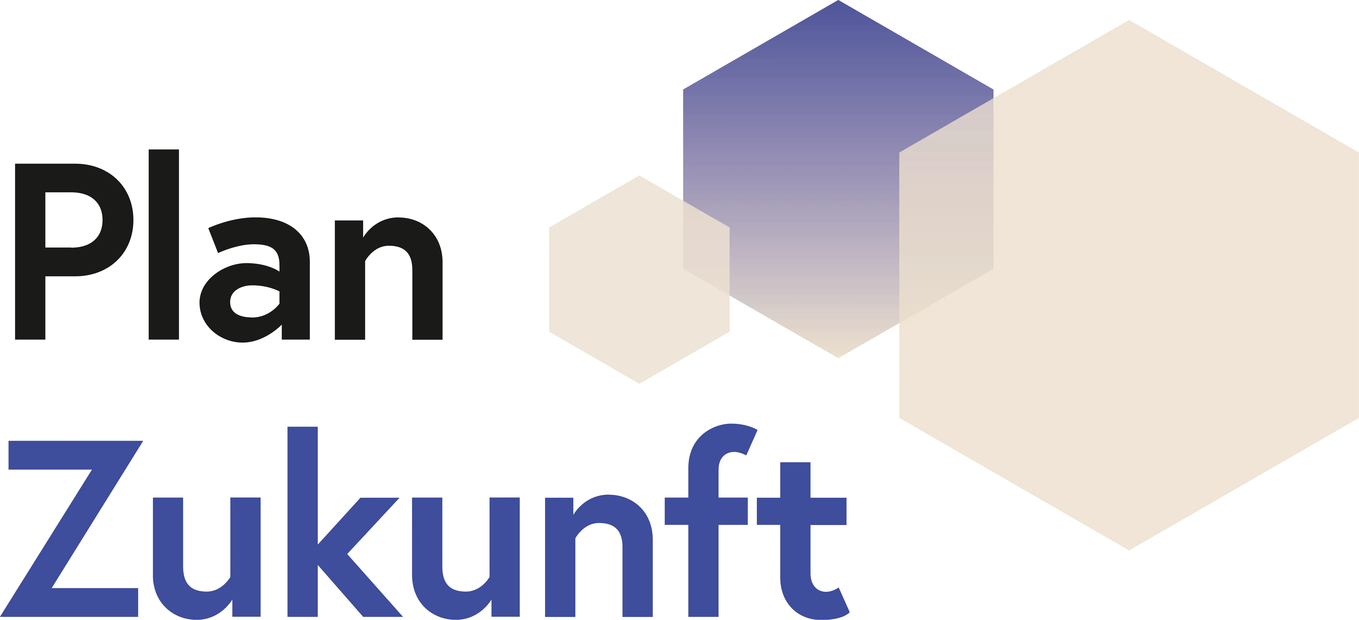 Plan Zukunft Logo